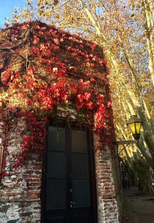 El Patio De Las Glicinas Colonia del Sacramento Exterior photo